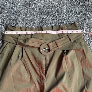 Express Olive Green Pleated Trousers